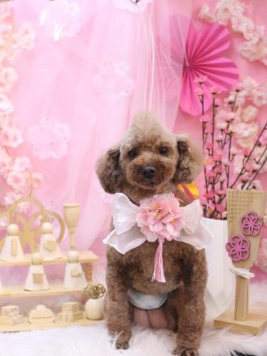 20250301くぅくん